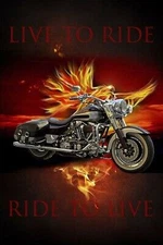 35" Fabric Panel - David Textiles Digital Live to Ride Motorcycle Flames Scene