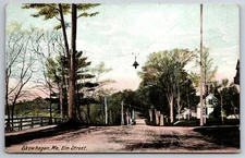 Skowhegan Maine~Elm Street Homes~Hanging Street Lamp~Dirt Road~c1910 Postcard