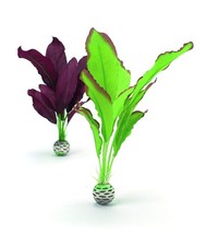 biOrb Silk Plant Set Medium Green  Purple Purple/Green