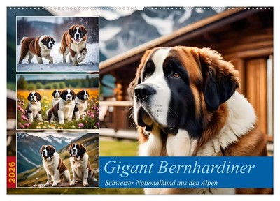 Gigant Bernhardiner (Wandkalender 2026 DIN A2 quer), CALVENDO Monatskalender
