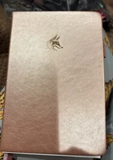 Clever Fox Daily Planner Gold (Not Dated) New