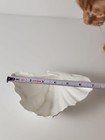 Bild 10 von 11