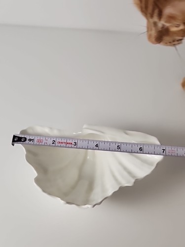Wedgwood Nautilus Collection Bone China Glazed White Clam Shell Footed Dish - Bild 10 von 11