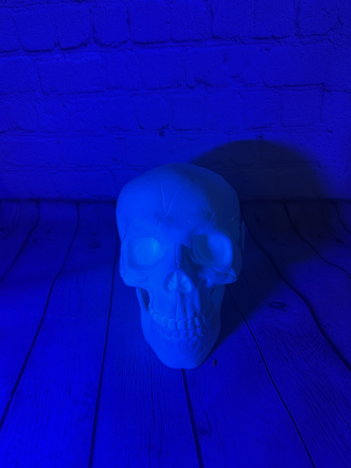 Picture 3 of 8
