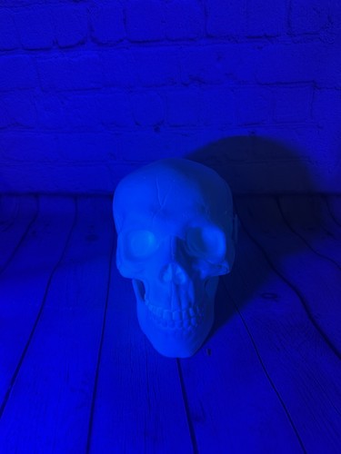 Spooky Decorative Skull, Halloween Or Goth Decor, White, Glows In Black Light! - Picture 3 of 8
