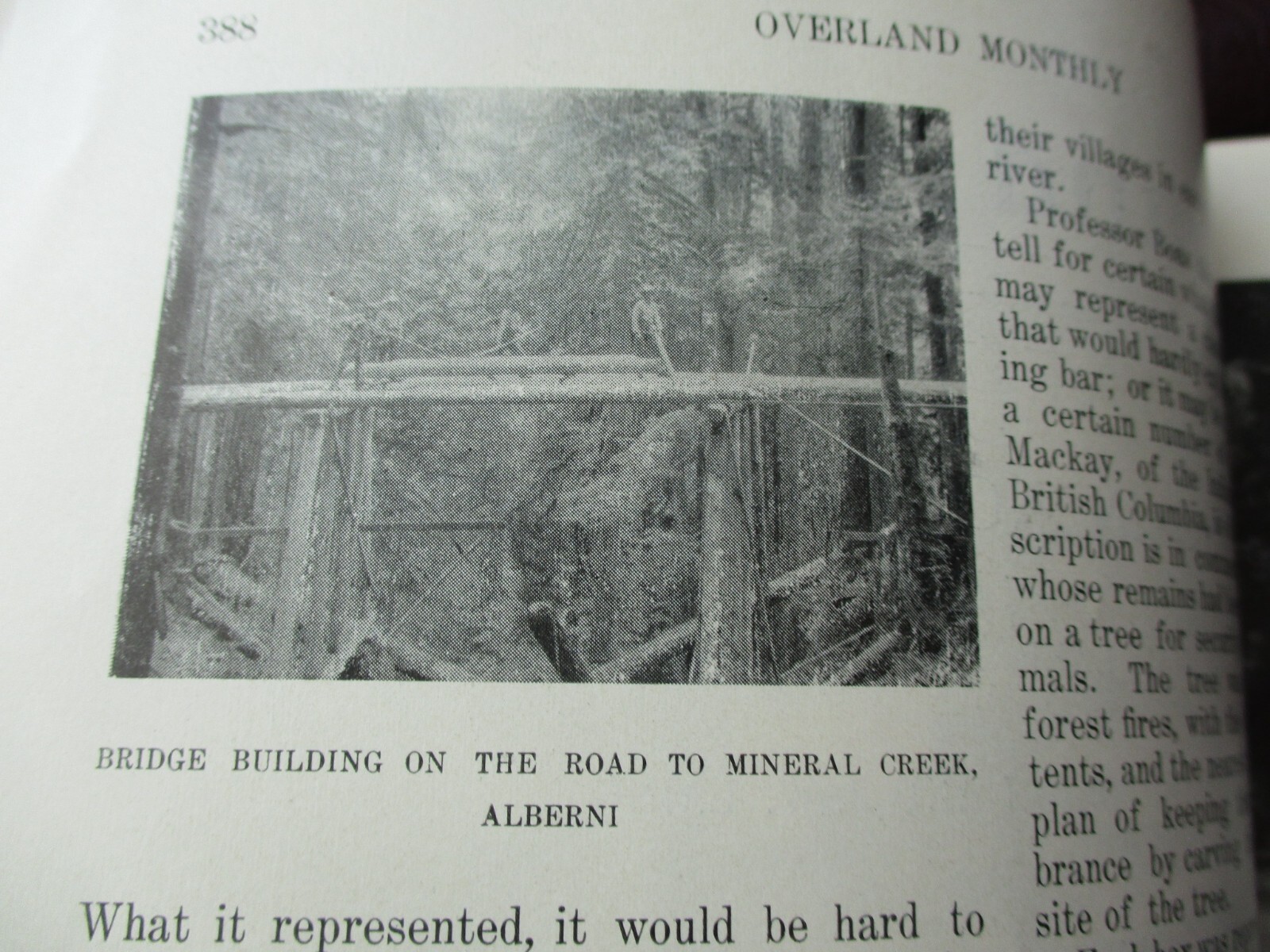 Picture 6 of 21