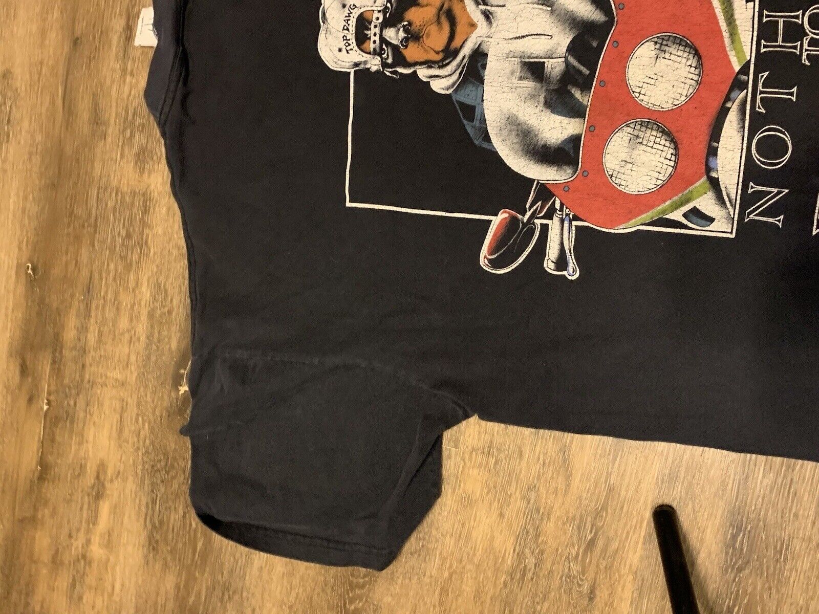 Picture 11 of 13