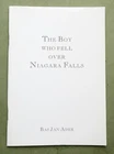 Bas Jan ADER, 1992:  'The Boy Who Fell over Niagara Falls';   ltd. 500 copies