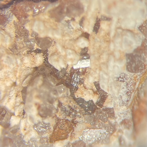 Caracolith Kristall Micro Lolon Mine Challacollo Iquique CHILE