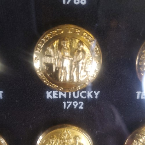 Vintage 50 State Seals Of America 24KT vergoldete Knöpfe gerahmtes Display - Bild 19 von 24