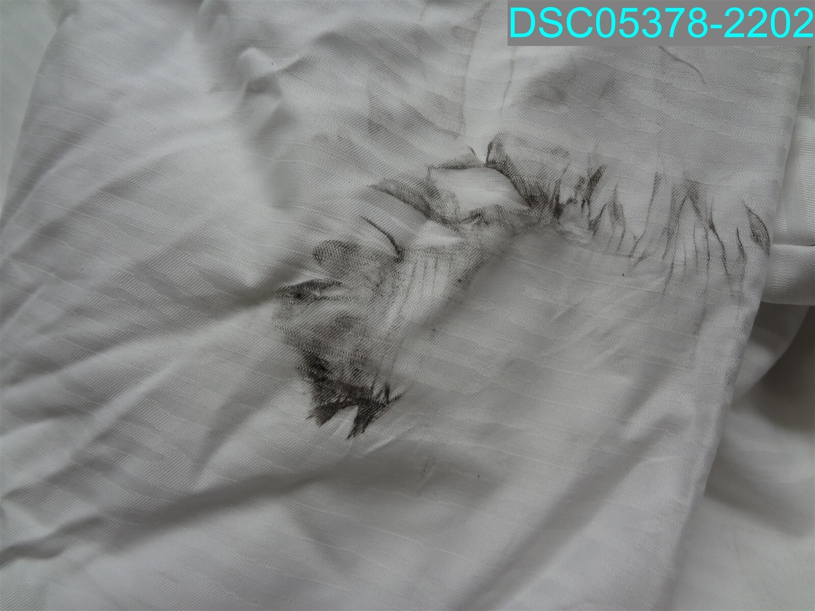 Bild 6 von 7