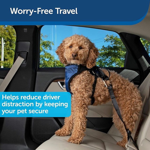 PetSafe Happy Ride Dog Safety Seat