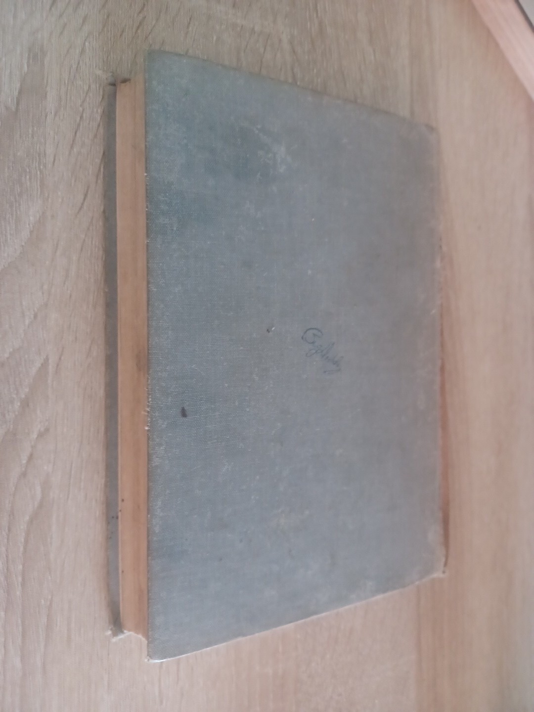 Bild 6 von 13