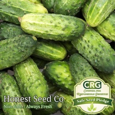 50+ Pickling Cucumber Seeds (Wisconsin SMR-58) | Fresh Garden Seeds from USA
