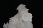 Foto 11 di 11