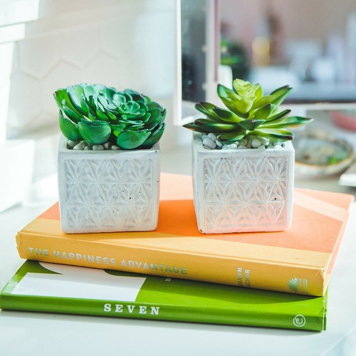 Flora Bunda Concrete Artificial Plant in 4" Damask Pattern Cement Pot,Set of 2 - Bild 5 von 8
