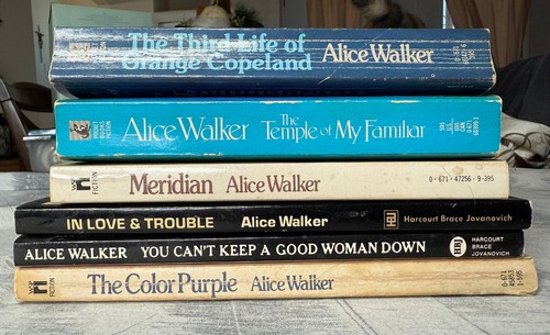 Alice Walker Paperback Book Lot of 6: Color Purple, Meridian, In Love & Trouble - Picture 2 of 14