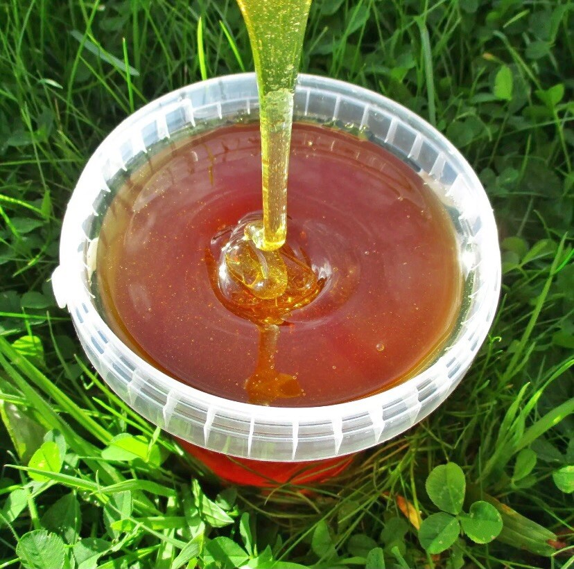 Natural honey russian bashkir linden 100% organic 1 kg 2 pieces Super zysk, 2022