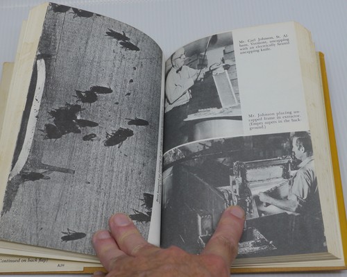 THE WORLD OF BEES, 1965 HC DJ BOOK BY MURRAY HOYT, HONEYBEE RESEARCH - Picture 5 of 6