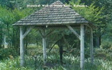 Postcard AL Tuscumbia Ivy Green Helen Keller Historical Well Chrome PC H7100