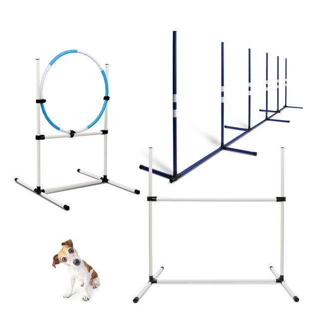 used dog training equipment for sale
