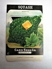 *Original* SQUASH Hubbard CARD SEED CO. Packet 1920's Fredonia NY