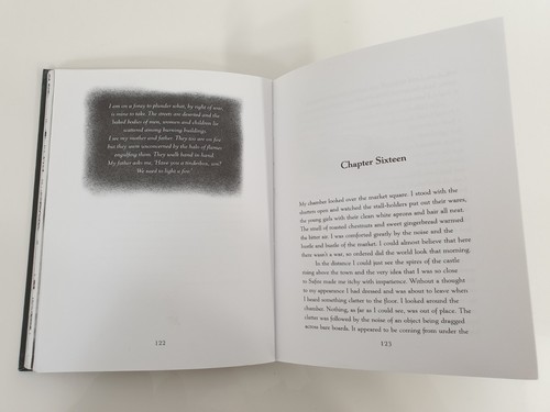 Tinder by Sally Gardner Book 2013 with Drawings by David Roberts - Picture 5 of 7