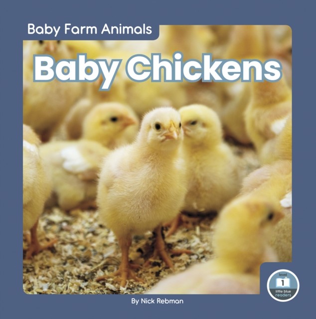 Baby Chickens by Nick Rebman HARDBACK 9781646194728