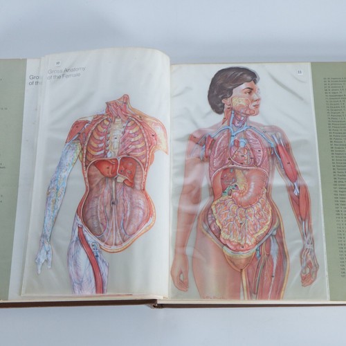 Vintage 1974 The Trans / Vision Book of Health Collectible - Picture 4 of 7