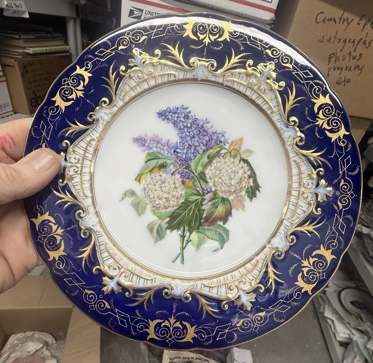 Pirkenhammer Plate In Antique Ceramic & Porcelain Plates