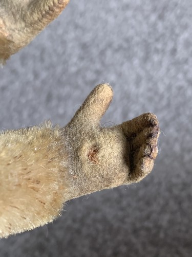 Steiff "Coco" The Baboon. 1950's 6” Mohair Excellent NO ID Jtd Head - Picture 7 of 8