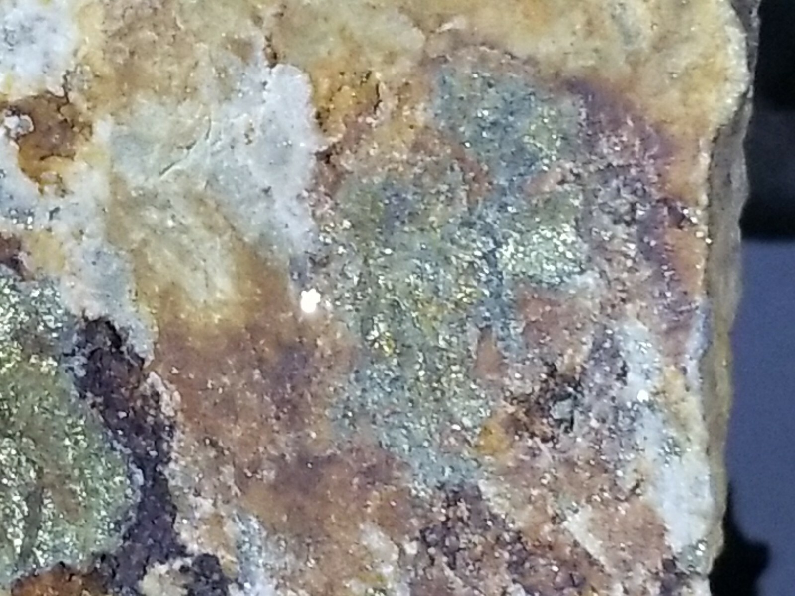 Amazing Colorado MOTHERLODE GOLD IN QUARTZ Ore Display specimen 7lb