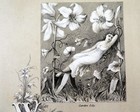 Foto 3 di 5