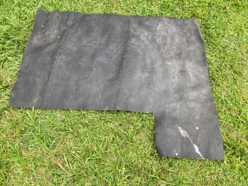 English Wilton Short Wool Carpet Biscuit ColorBought new 1985, has small damage - Picture 13 of 13