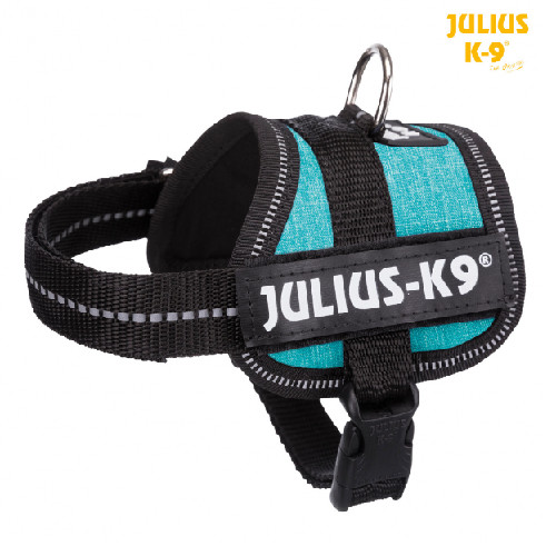 Harnais Julius K9 IDC Power bleu ocean Baby 2 XS haute résistance
