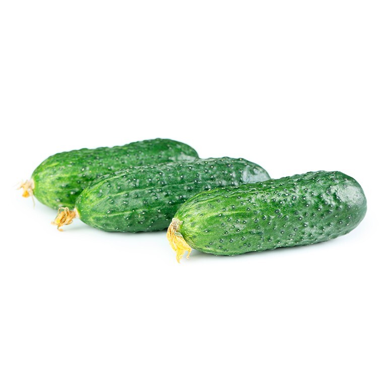 60 semillas de pepino corto, pepinillo ( o negro ) Seleccoonar
