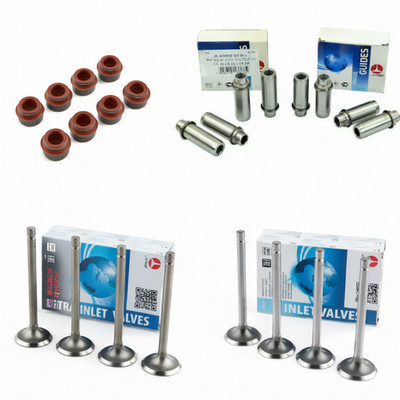 Kit Motor Einlass und Auslassventil Lada 2101-2107 2121