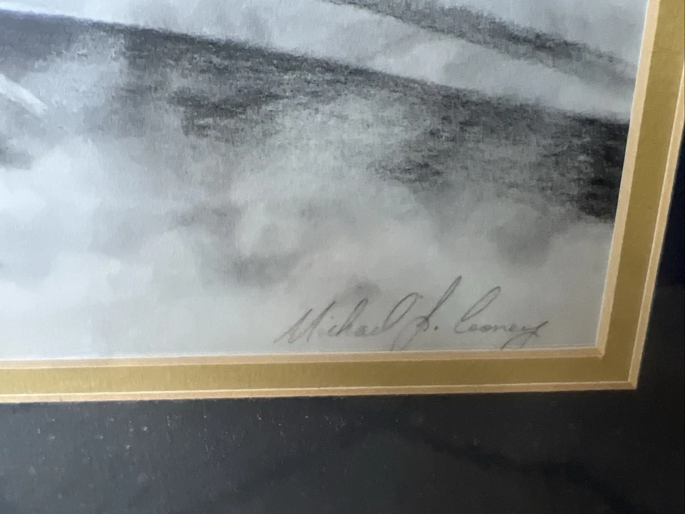 Impresión Blue Angels firmada por M.J. Cooney "In Flight" 332/500 años 70-90 certificado de autenticidad Foto 3 de 4