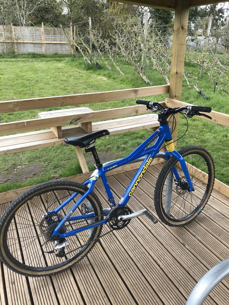 Super Fatty Ultra Fatty Cannondale Cannondale Headshok Fatty DLR