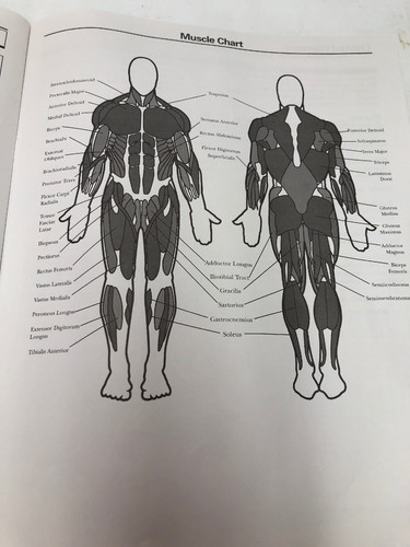 NEW BOWFLEX PREACHER CURL OWNERS MANUAL ASSEMBLY BOOK PART FX-PC MAIN FITNESS 1 - Picture 8 of 12