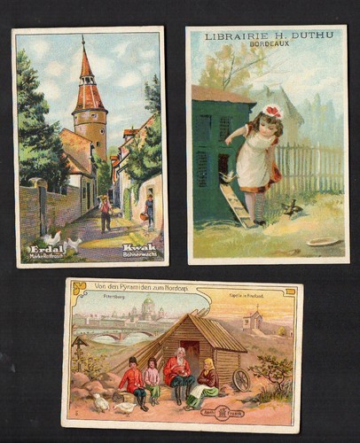 Chicken poultry cockerel 3 x Advertising Trade cards Chromo #275