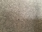 Bild 3 von 5