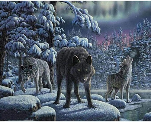 PITTURA FAI DA TE CON NUMERI PITTURA AD OLIO SU TELA 100 PLUS DISEGNI A SCELTA/CORNICI - Foto 59 di 136
