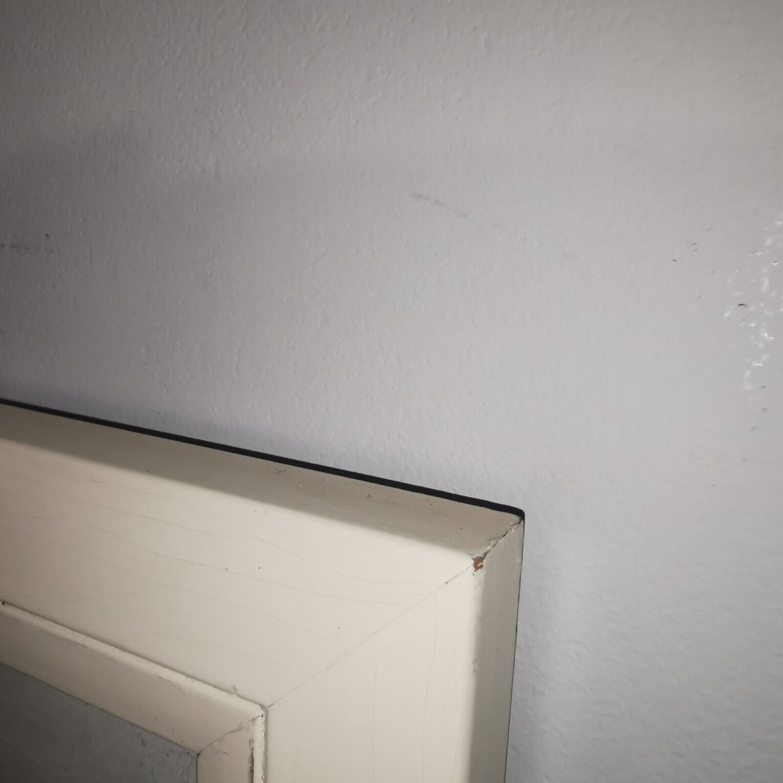 Picture 6 of 11