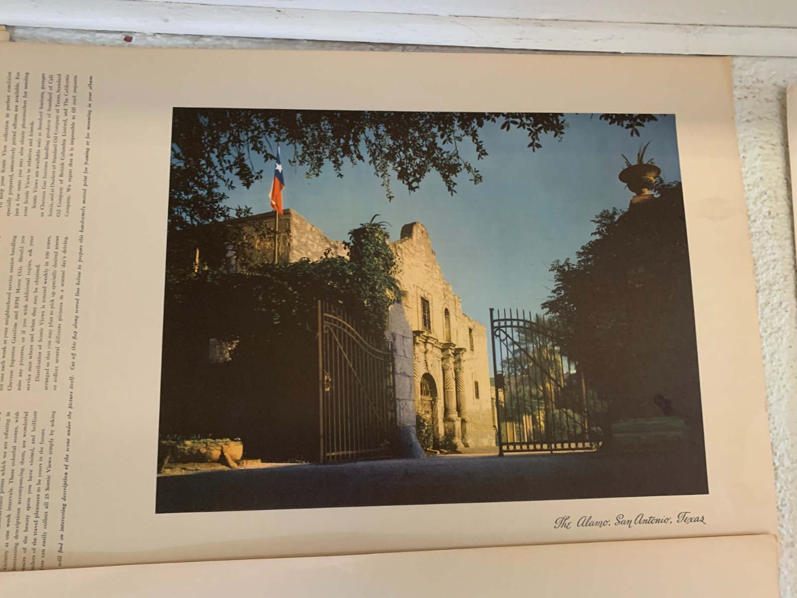 Picture 5 of 15