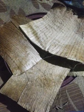 25PCS Dried Banana Leaves Organic Aquarium Pet Supplies Care Fish Betta Shrimp