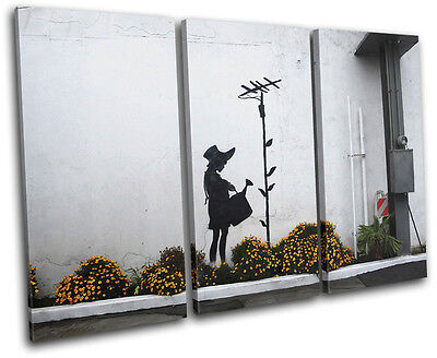Banksy flower airiel street art Poster reproduction