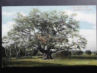 Nottinghamshire THE MAJOR OAK SHERWOOD FOREST (Robin Hood) um 1903 von Valentine