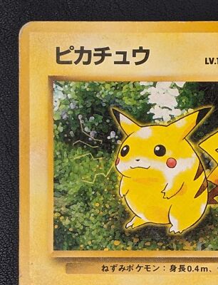 Pikachu Says NoFakes[英語版] エルサ Pikachu Says NoFakes[英語版] エルサ 553806?ts=1735675944837