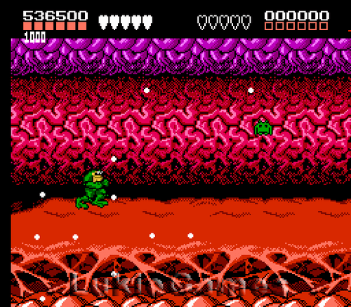 Battletoads - Seltenes NES Nintendo Tolles Spiel Battle Toads - Bild 6 von 8